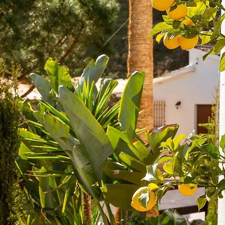 Villa Cortijo La Canada Arenas (Malaga)